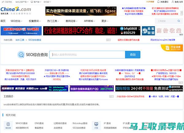 SEO综合查询工具深度解读：掌握网站数据的秘密武器